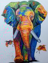 Gentle giant 