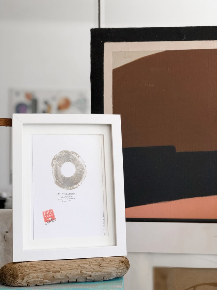 Image of COGUMELO | Mushroom 