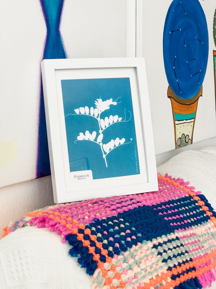 Image of HERBARIUM | Algarve