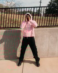 Dog Restraint Hoodie (Pink)