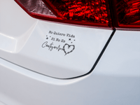Image 1 of No Quiero Vida Car Decal(2 pack)
