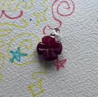 magenta clov