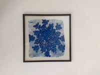 Image 3 of Cyanotype sur verre de carotte sauvage