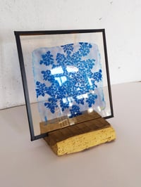 Image 1 of Cyanotype sur verre de carotte sauvage