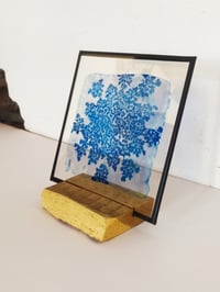 Image 4 of Cyanotype sur verre de carotte sauvage