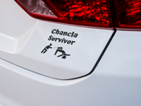 Image 2 of Chancla Survivor Car Decal(2 Pack)