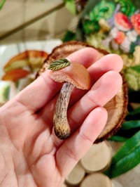 Image 8 of Grzybowe magnesy na lodówkę 