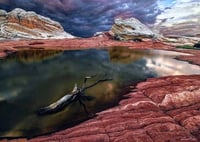 Prehistoric Light