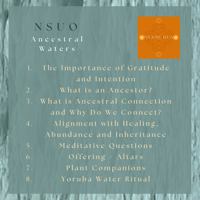 Image 3 of NSUO : Ancestral Waters Online Resource