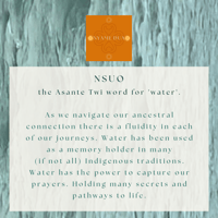 Image 2 of NSUO : Ancestral Waters Online Resource