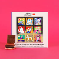 Coffret de 9 carrés lait, noir et noir & sel 🐸