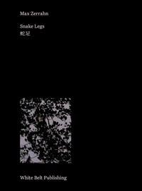 蛇足 Snake Legs (2019)