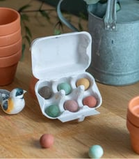 Image 2 of Set of 6 seed bombs in mini egg box