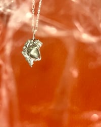 Image 3 of The Foraged Pendant - Clear