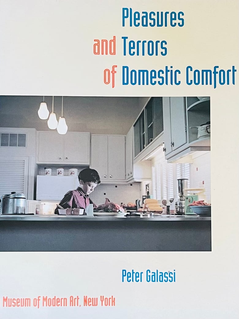 Image of (Peter Galassi)(Pleasures and Terrors of Domestic Comfort)