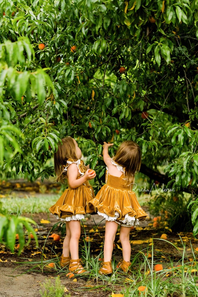 Image of Peach Orchard Mini Session