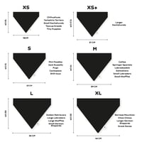 Image 3 of Kings Day Tux Bandana 