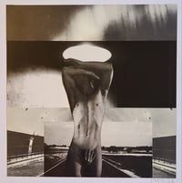 Image 1 of 'Leaving The Dream'