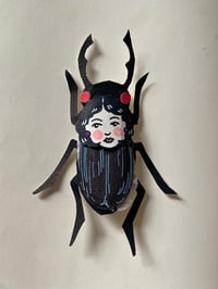 Image 1 of LADYBugs Fancy Beetles