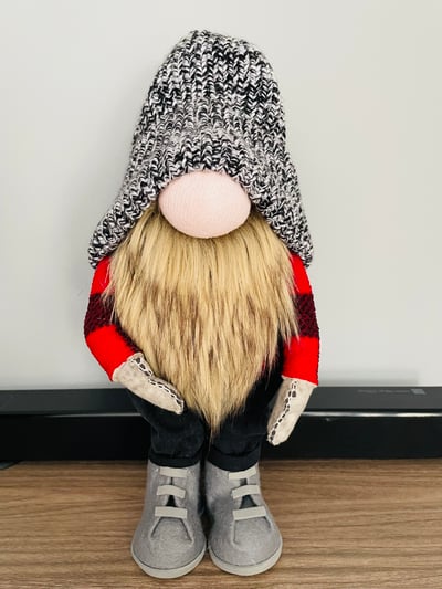 Image of Gnome small 01