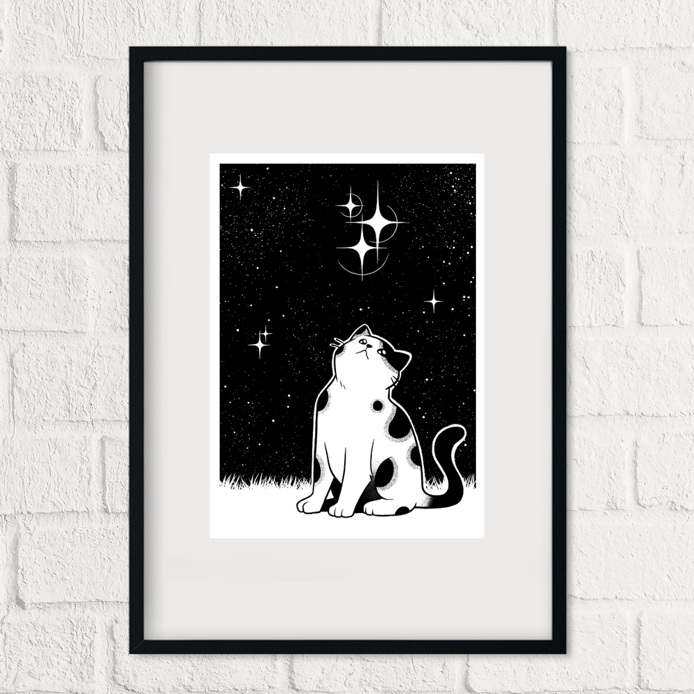 Image of Kitty and the stars 