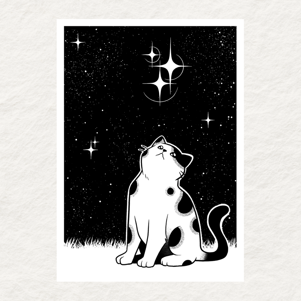 Image of Kitty and the stars 
