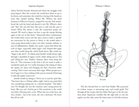 Image 5 of Nighttime Kingdom Hard Cover Book 