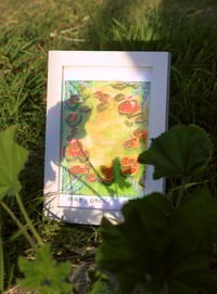 Image 1 of Fairy Circle