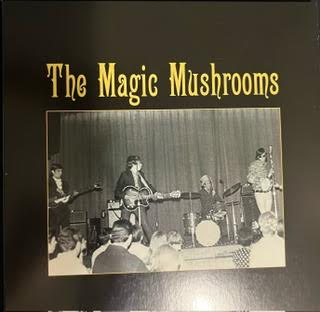 The Magic Mushrooms - Im All Ears /Pain