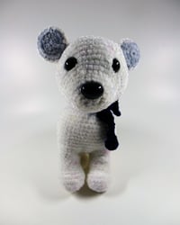 Image 4 of Baby Polar Bear