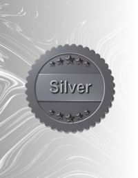 SILVER STANDARD CLEANING