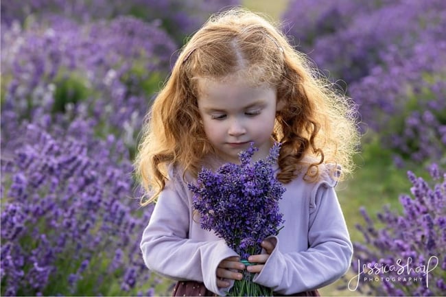 Lavender Mini Sessions - Sunday 7th July 2024 