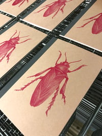 Image of Notebook The Colour Out Of Space insect 1