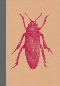 Image of Notebook The Colour Out Of Space insect 1