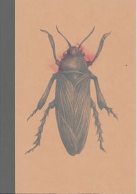 Image of Notebook The Colour Out Of Space insect 3