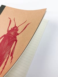 Image of Notebook The colour Out Of Space insect 2