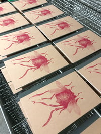 Image of Notebook The colour Out Of Space insect 2