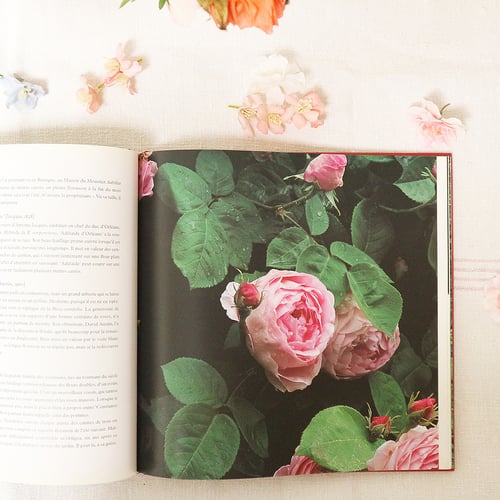 Image of Livre pour les passionnés de roses anciennes