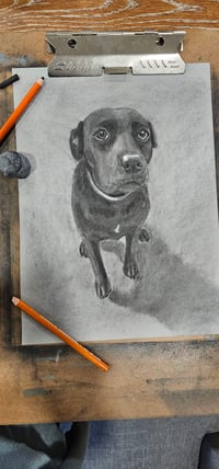 Image 6 of Custom Pet Portrait Charcoal Drawing 