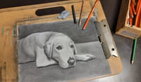 Image 8 of Custom Pet Portrait Charcoal Drawing 