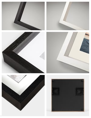 Image of Abstract Art | Botanical | Floral | 3