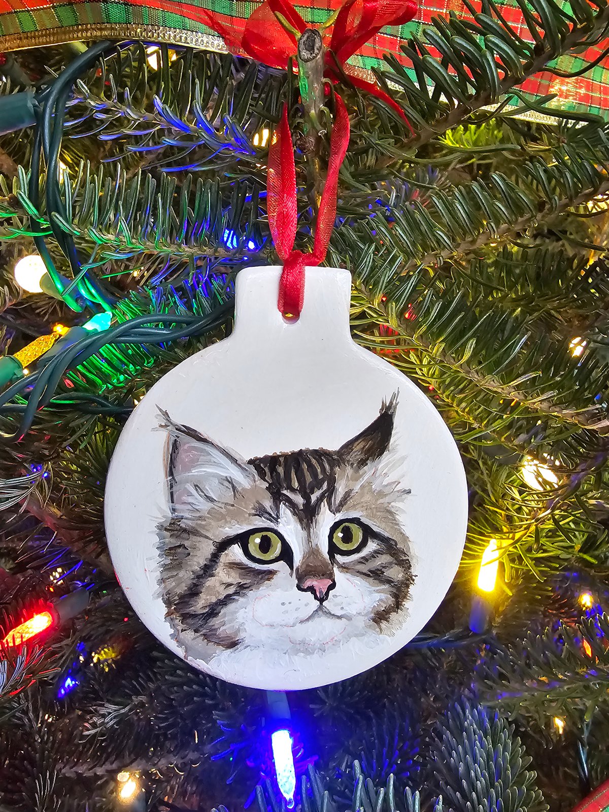 Store Custom painted ornaments, pet portrait