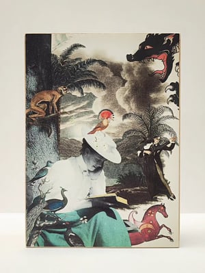 Image of La sociedad de la lectura