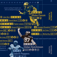 Image 3 of Michigan Wolverines Football