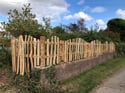 Cleft chestnut post and rail fencing