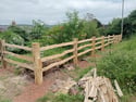 Cleft chestnut post and rail fencing