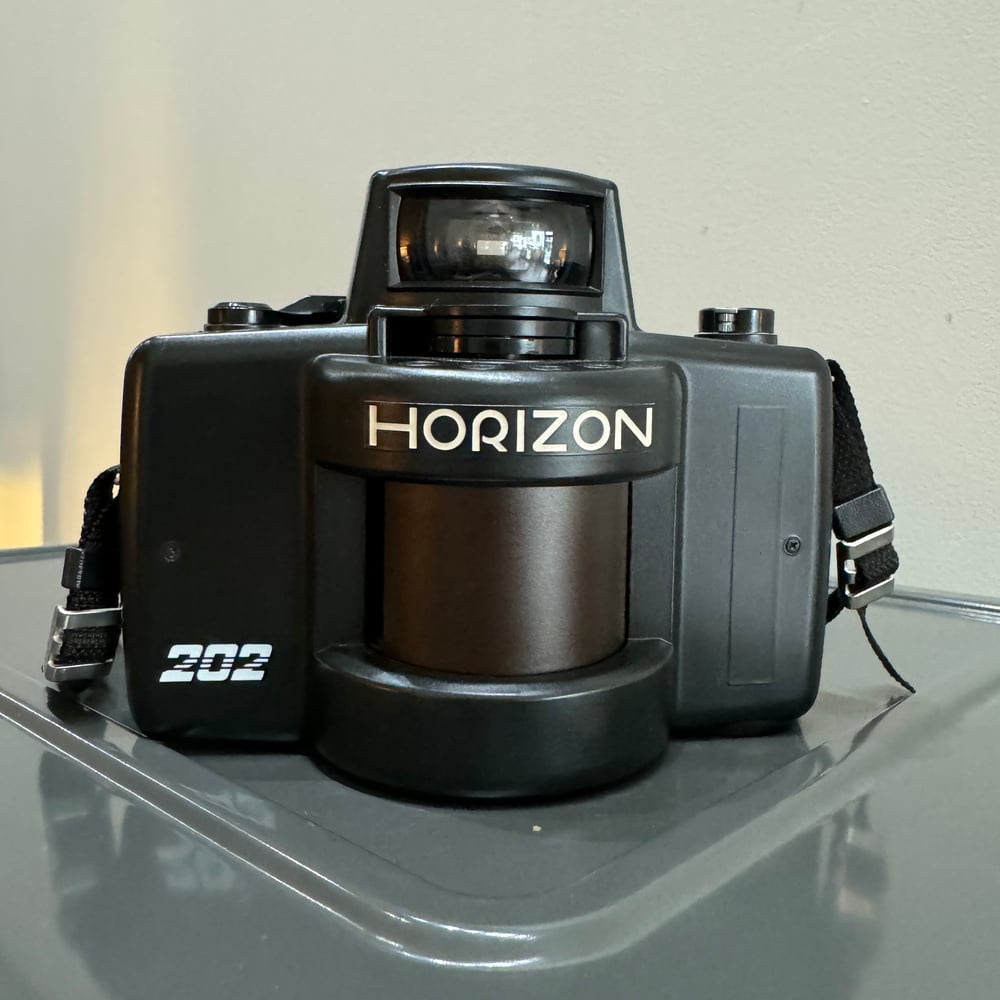 Image of Horizon 202 Swing Lens (3003286)