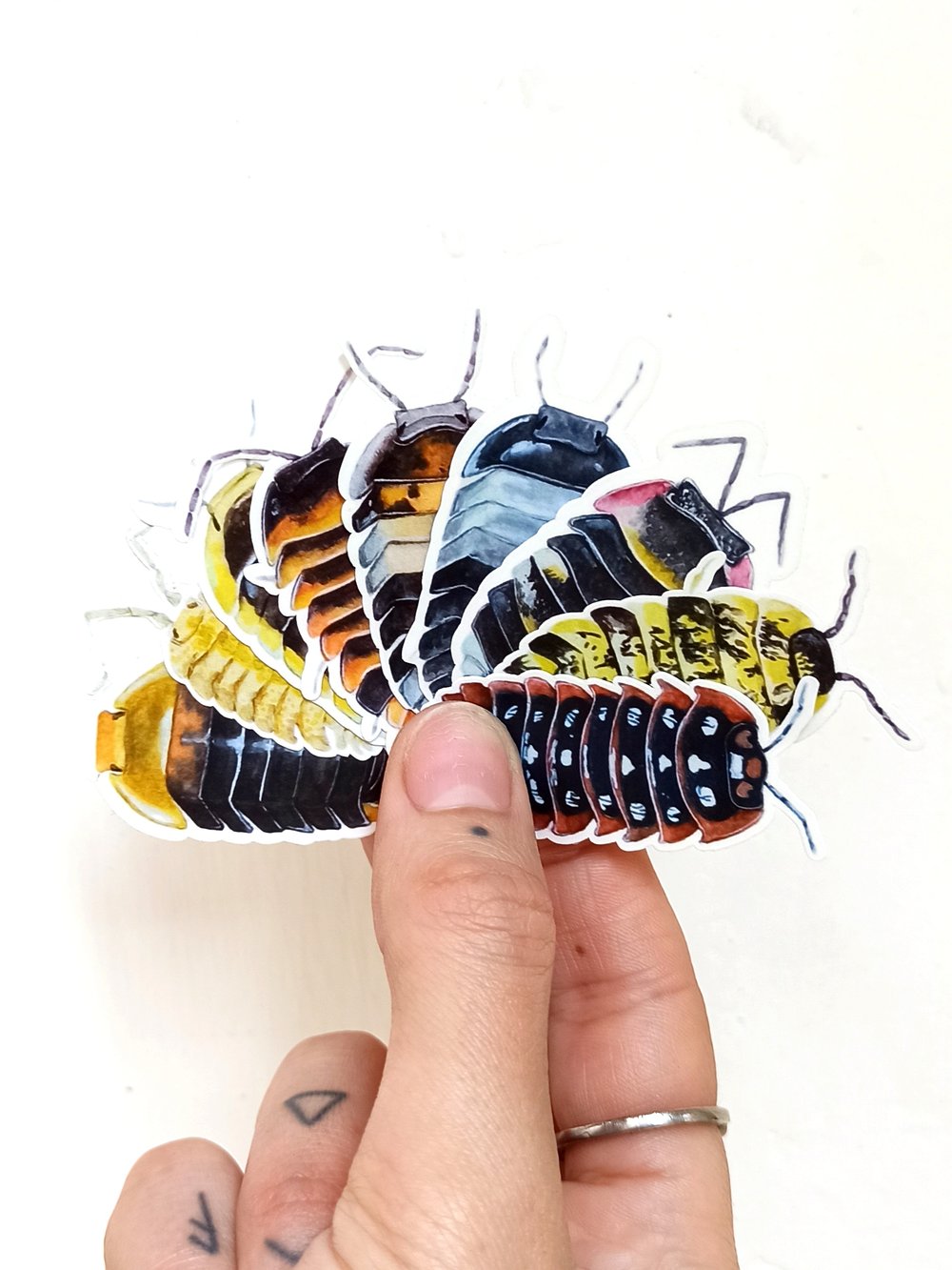 Image of Isopods Sticker Pack