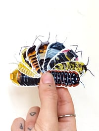 Image 1 of Isopods Sticker Pack