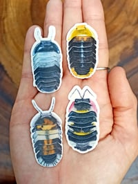 Image 7 of Isopods Sticker Pack